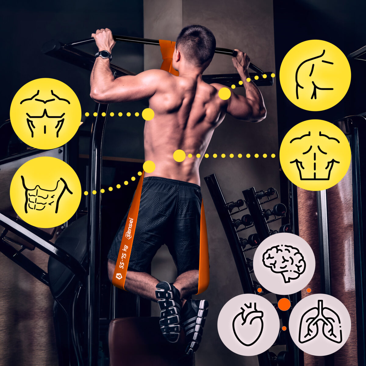 Guma oporowa do ćwiczeń Sensei Power Band 55-75 kg