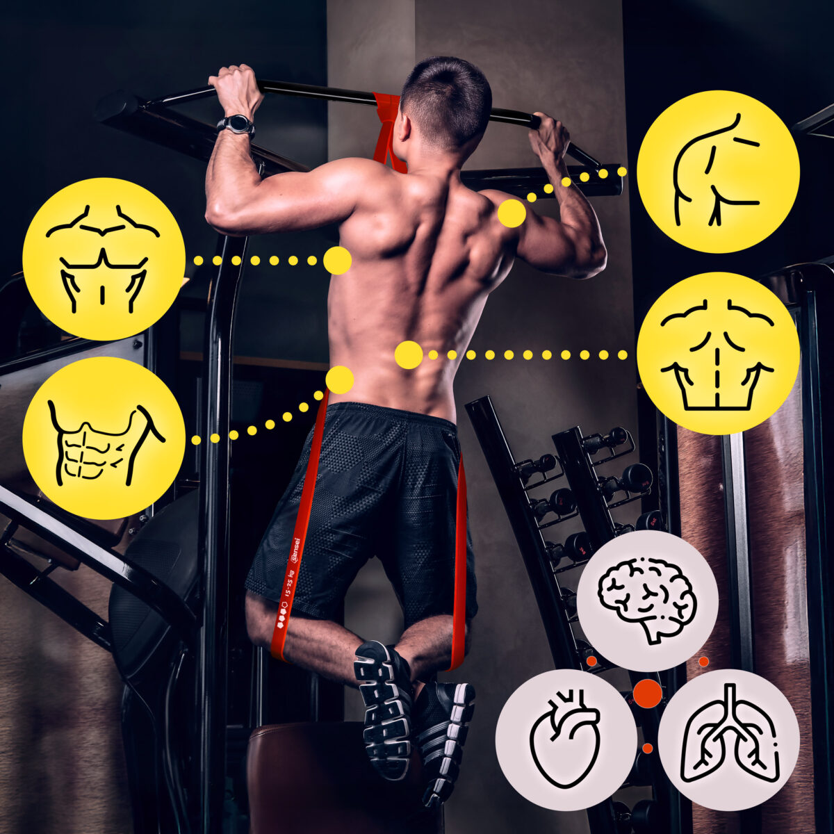 Zestaw 3 gum do ćwiczeń Sensei Power Bands – 1-35 kg