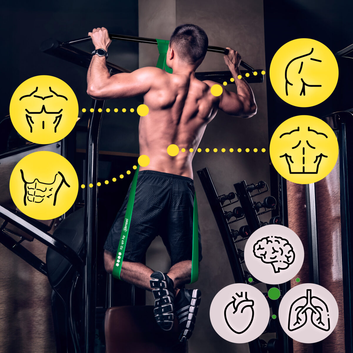 Zestaw 5 gum do ćwiczeń Sensei Power Bands – 1-55 kg + Uchwyt